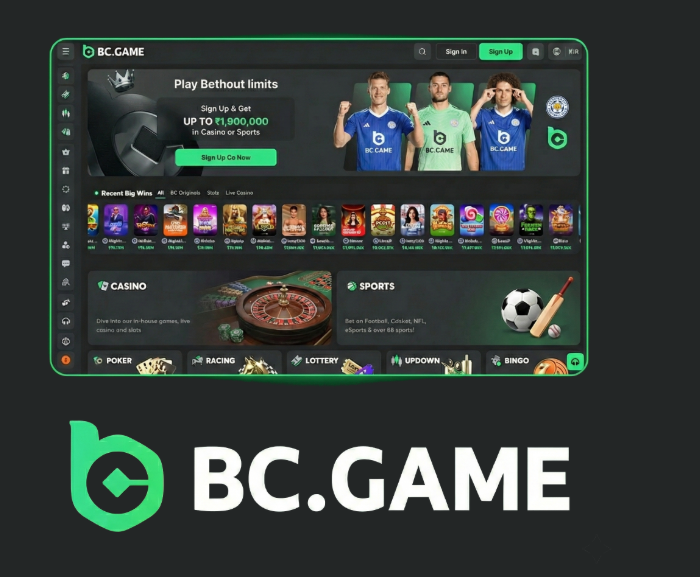 Exploring BC.Game Casino A Comprehensive Guide